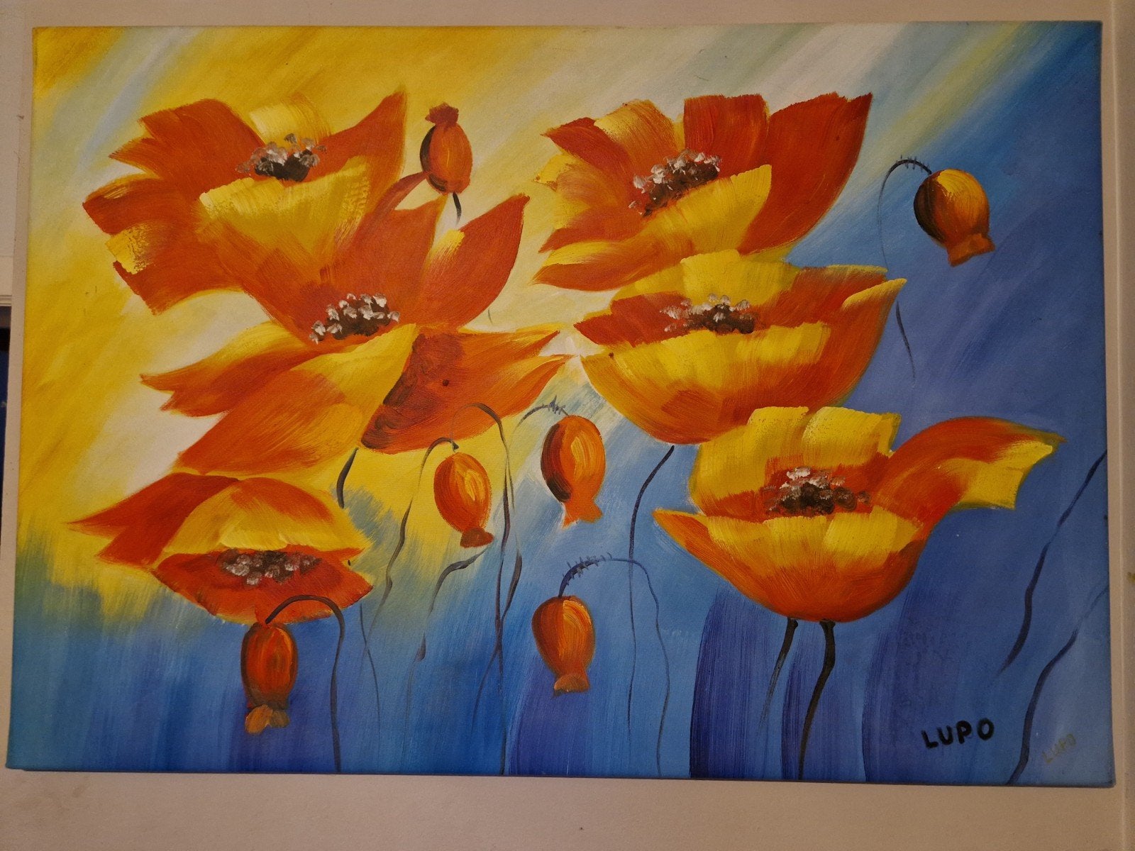 coquelicots de Lupo, Enlèvement