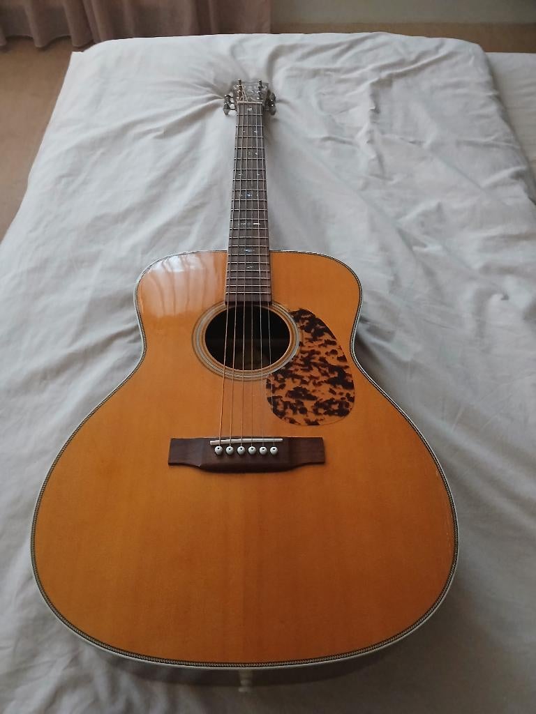 BLUERIDGE  BR 163, Musique & Instruments, Instruments à corde | Guitares | Acoustiques, Enlèvement, Utilisé
