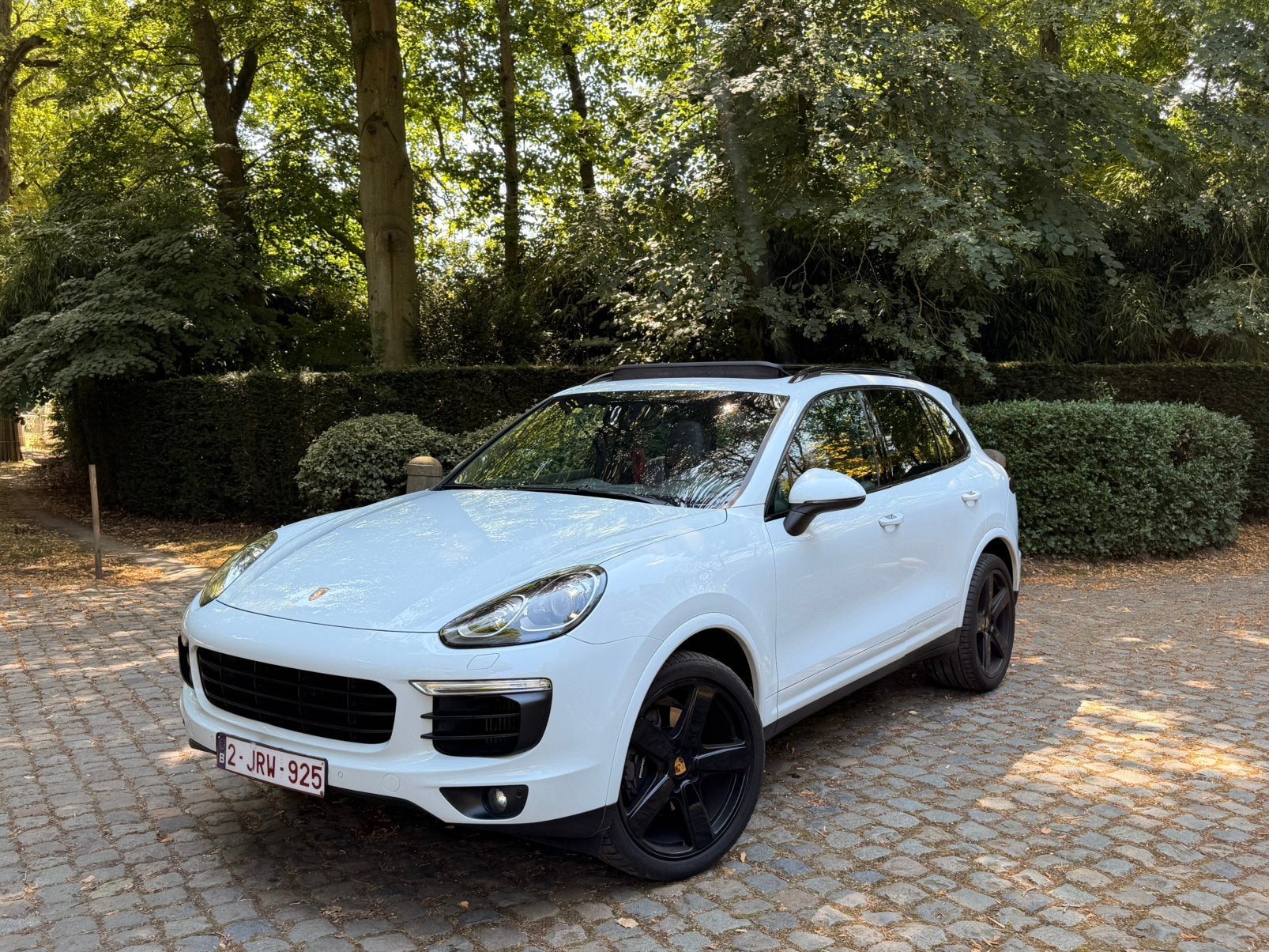 Porsche Cayenne 3.0D V6 PLATINUM EDITION TIPTRONIC S, Lichtmetalen velgen, Cayenne, Wit, Diesel