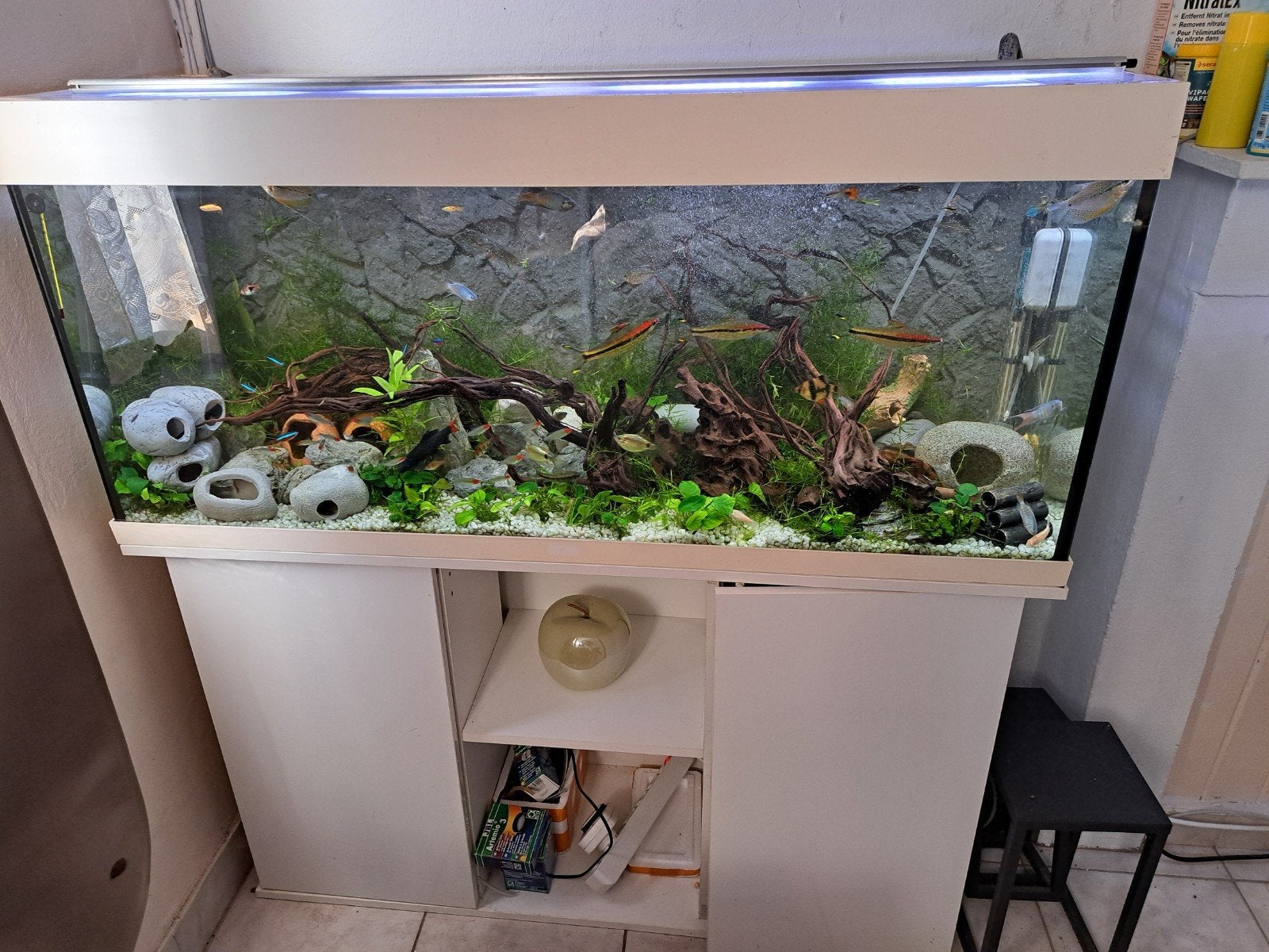 aquarium exotique full complet 120/43/128, Ophalen, Pomp, Superfish, Gevuld zoetwateraquarium