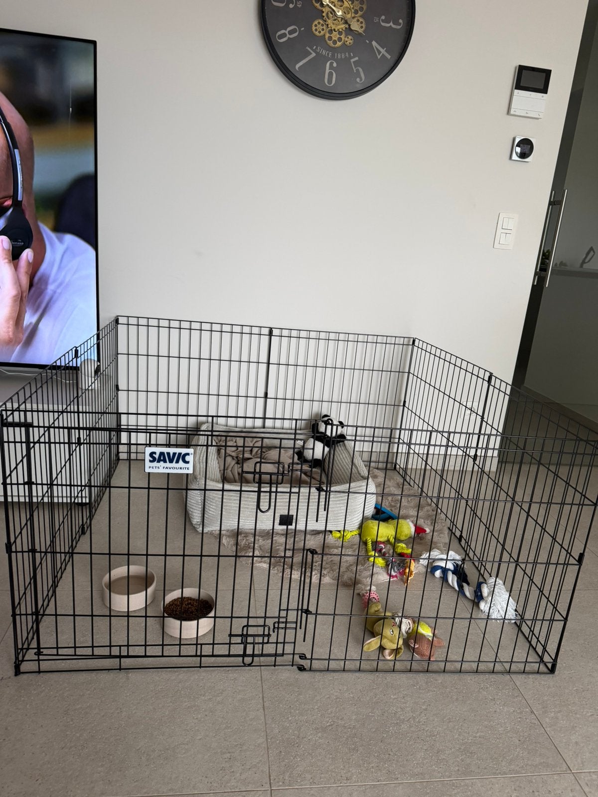 Puppy ren, Dieren en Toebehoren, Ophalen, Hondenkennel, Minder dan 65 cm, Zo goed als nieuw