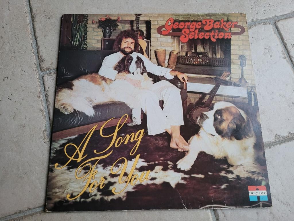 Vinyl George Baker Selection - A song for you, Ophalen, Gebruikt