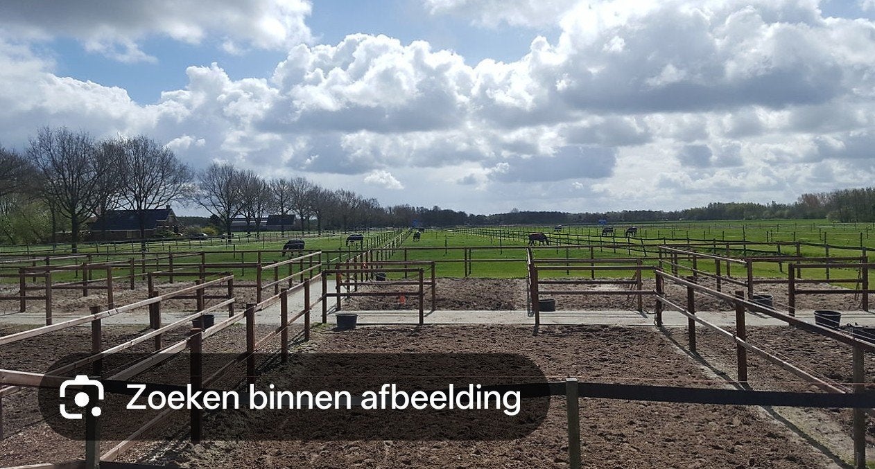 Op zoek naar paddock plaatsje voor Shetlander, Dieren en Toebehoren
