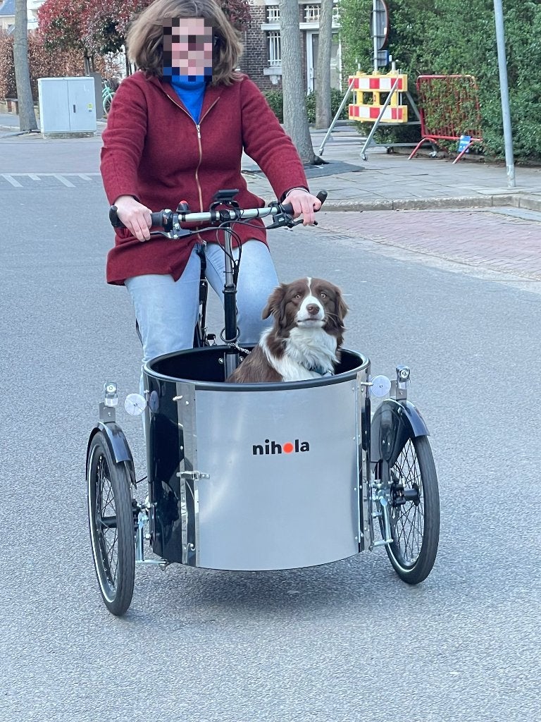 Elektrische bakfiets - Nihola Low Cargo Bike Bakfiets, Fietsen en Brommers, Fietsen | Bakfietsen, Zo goed als nieuw, Overige merken