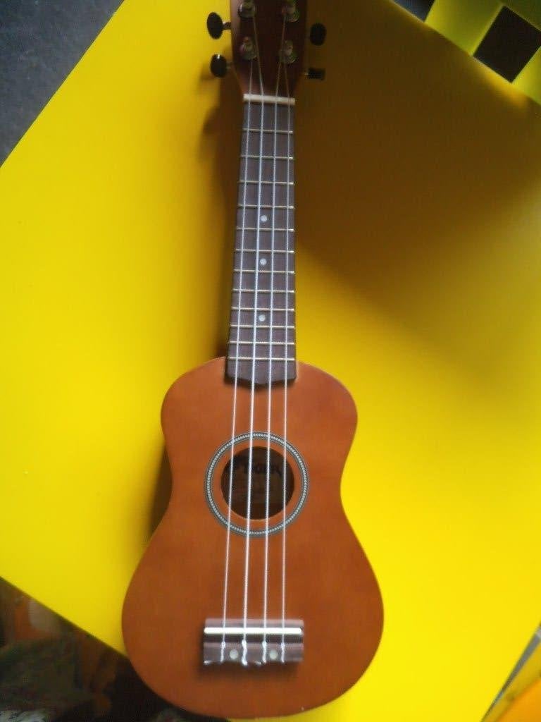 ukelele Tiger met draagtas, Muziek en Instrumenten, Ophalen of Verzenden, Gebruikt, Overige typen