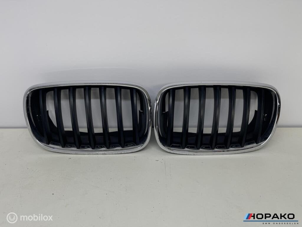 OEM Nieren BMW X5 / X5M F15 / F85 | zwart / chroom, Auto-onderdelen, Gebruikt, Einsteinlaan 5, Rijswijk, Ophalen of Verzenden