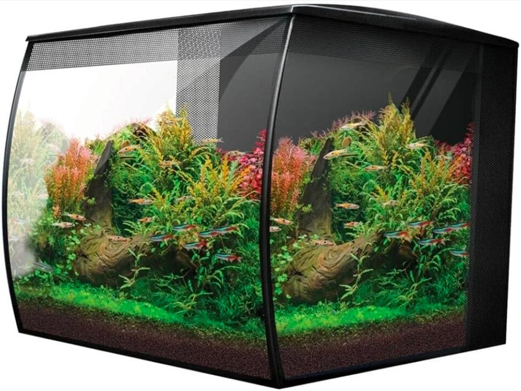 Aquarium fluval, Enlèvement, Fluval