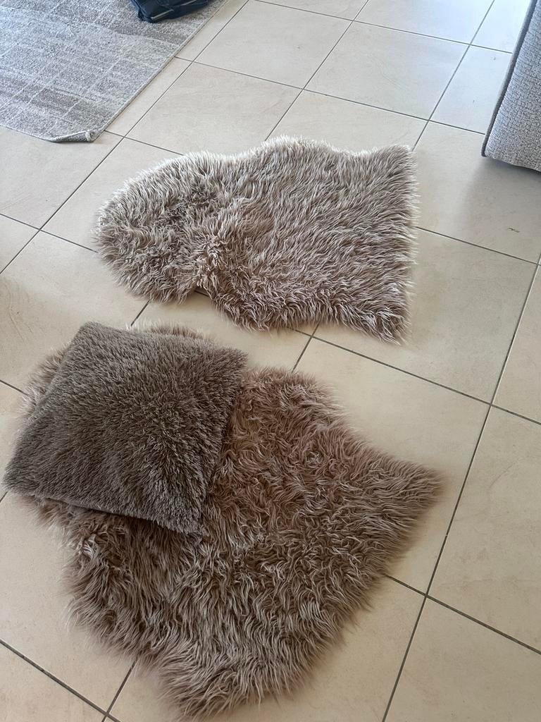 2x tapijtje + kussen, Huis en Inrichting, Woonaccessoires | Plaids en Woondekens, Ophalen, Zo goed als nieuw