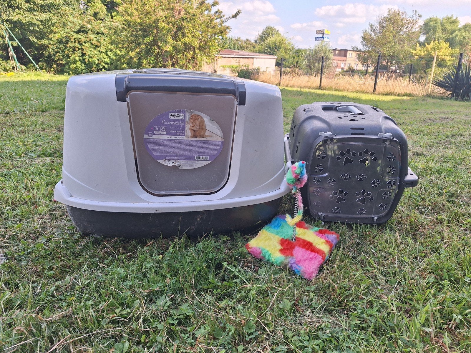 Lot pour chat, Animaux & Accessoires, Enlèvement