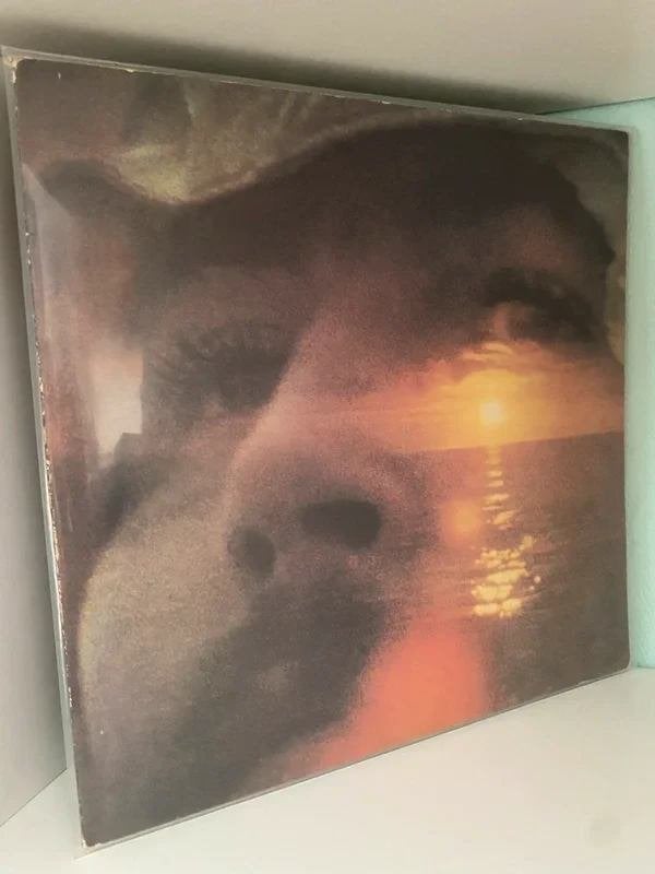 David Crosby – If I Could Only Remember My Name (J), LP, Gebruikt, Verzenden, Gatefold hoes