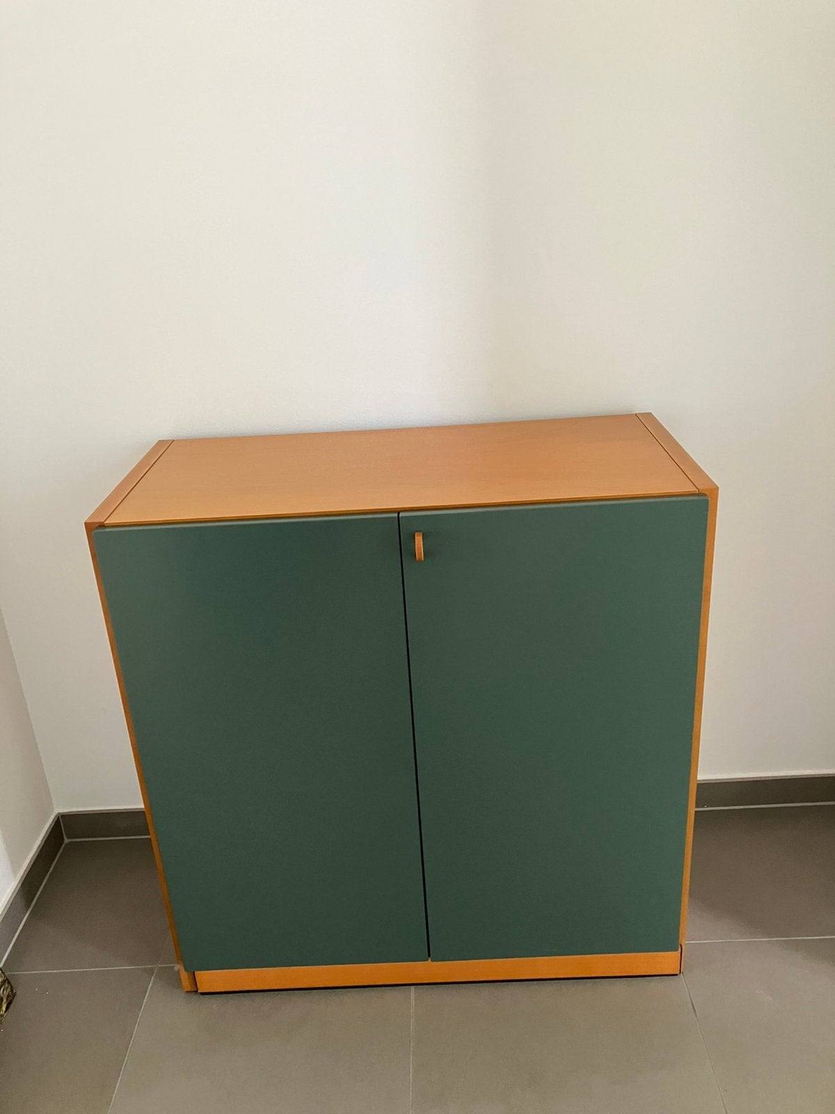 Kast van Molteni, Ophalen, Gebruikt, Overige houtsoorten