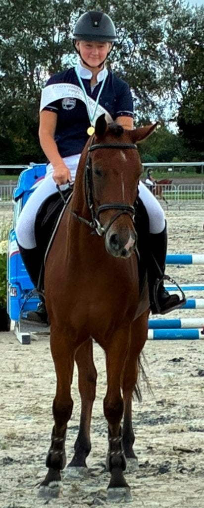 5 jarige D-pony ruin 148cm, M, Moins de 160 cm, Cheval de saut, 3 à 6 ans