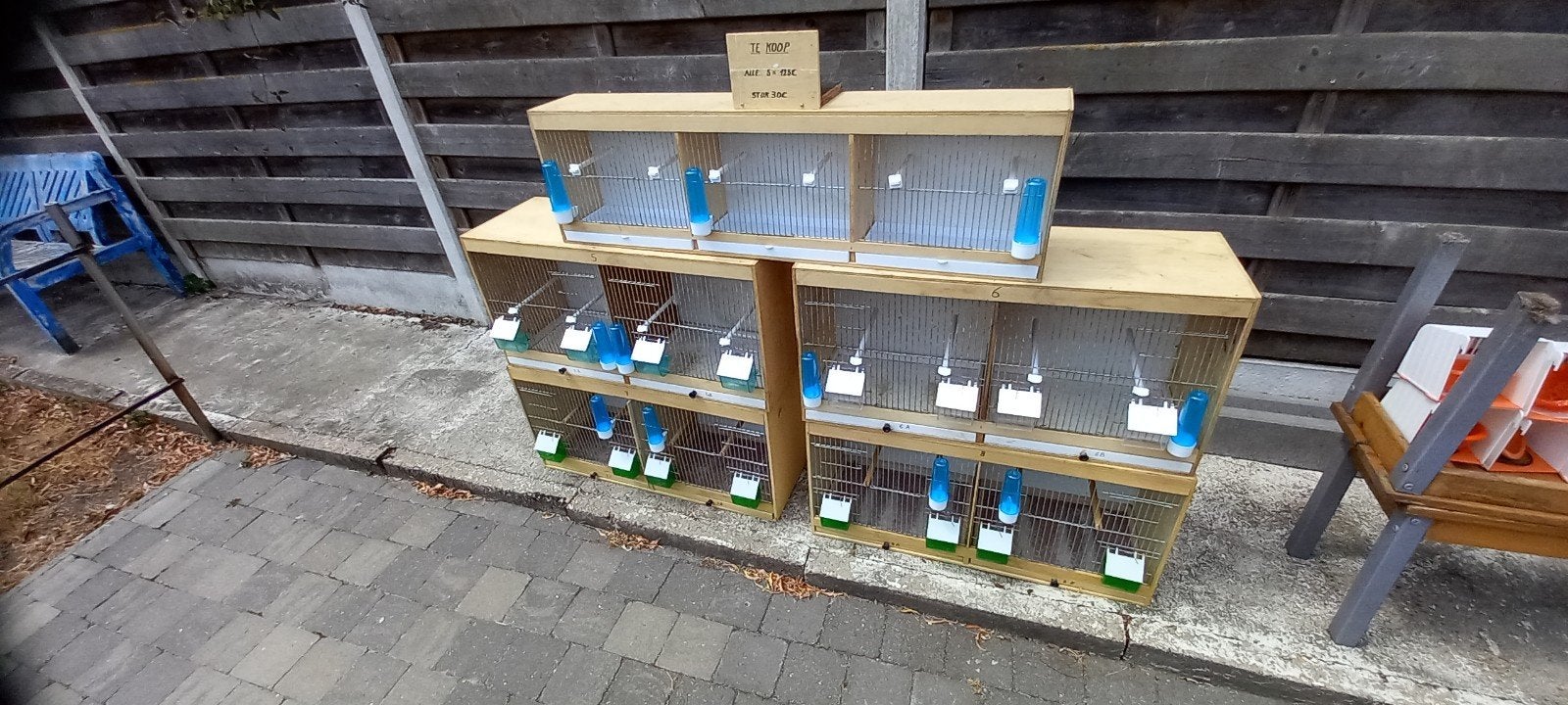 kweekkasten + alle andere benodigdheden te koop 220 €, Ophalen, Gebruikt, Hout, Met poort