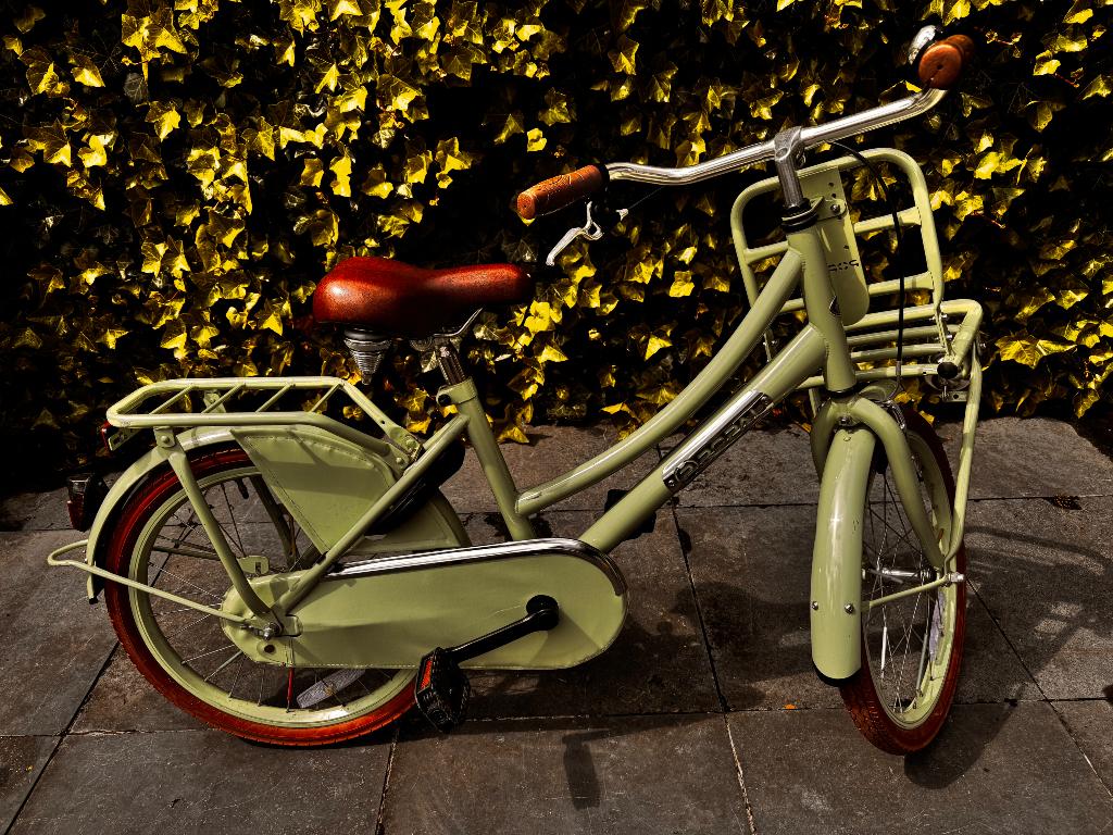 Popal meisjesfiets 20 inch, Fietsen en Brommers, Ophalen, Terugtraprem, Popal, 20 inch