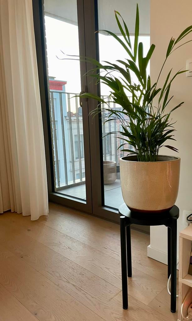 Zwart krukje H&M, Huis en Inrichting, Krukjes, Ophalen, Gebruikt, Hout