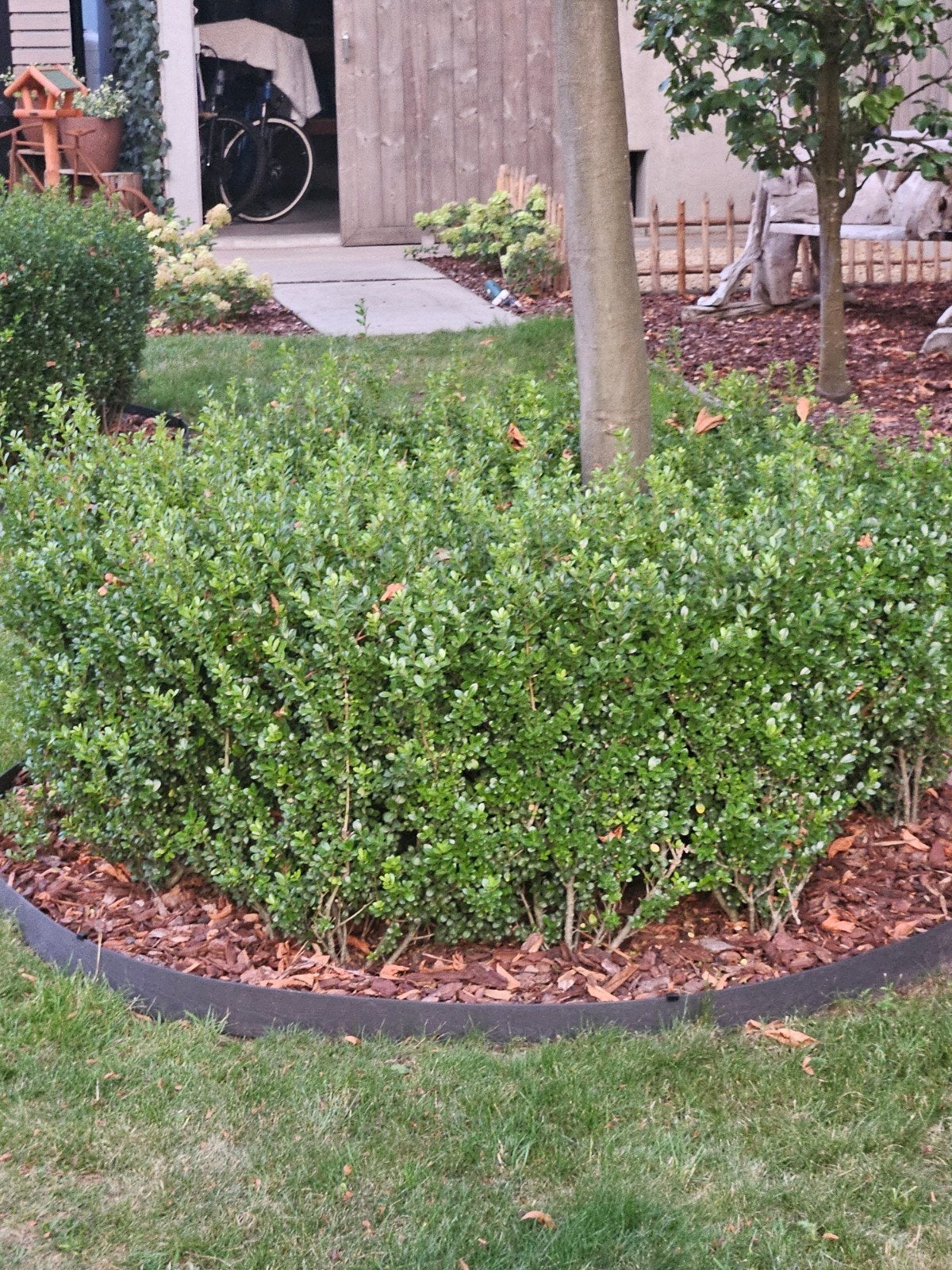 tuinwerk, Tuin en Terras, Ophalen of Verzenden