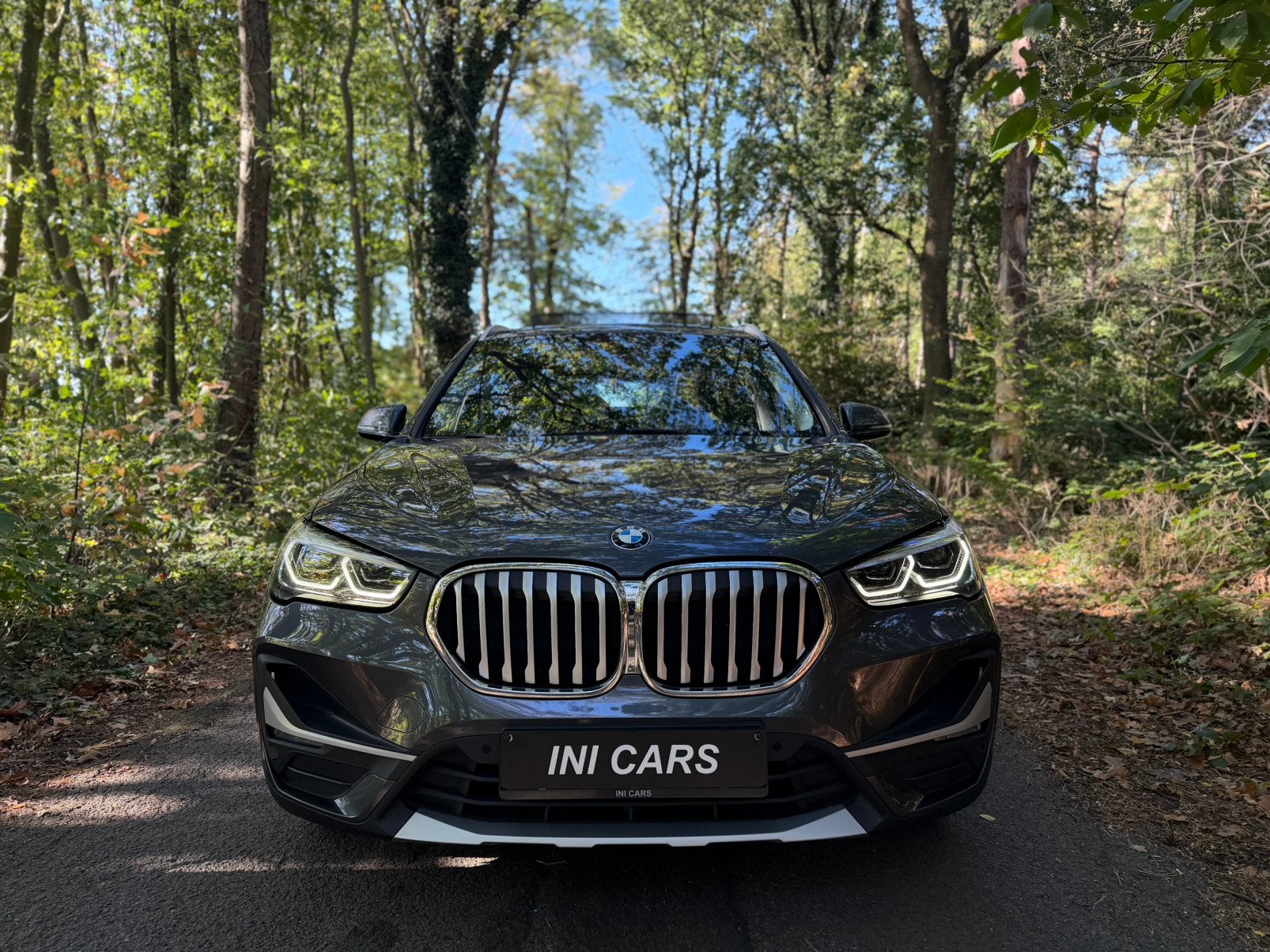BMW X1 2.0Diesel, Autos, X1, Argent ou Gris, Achat, Entreprise