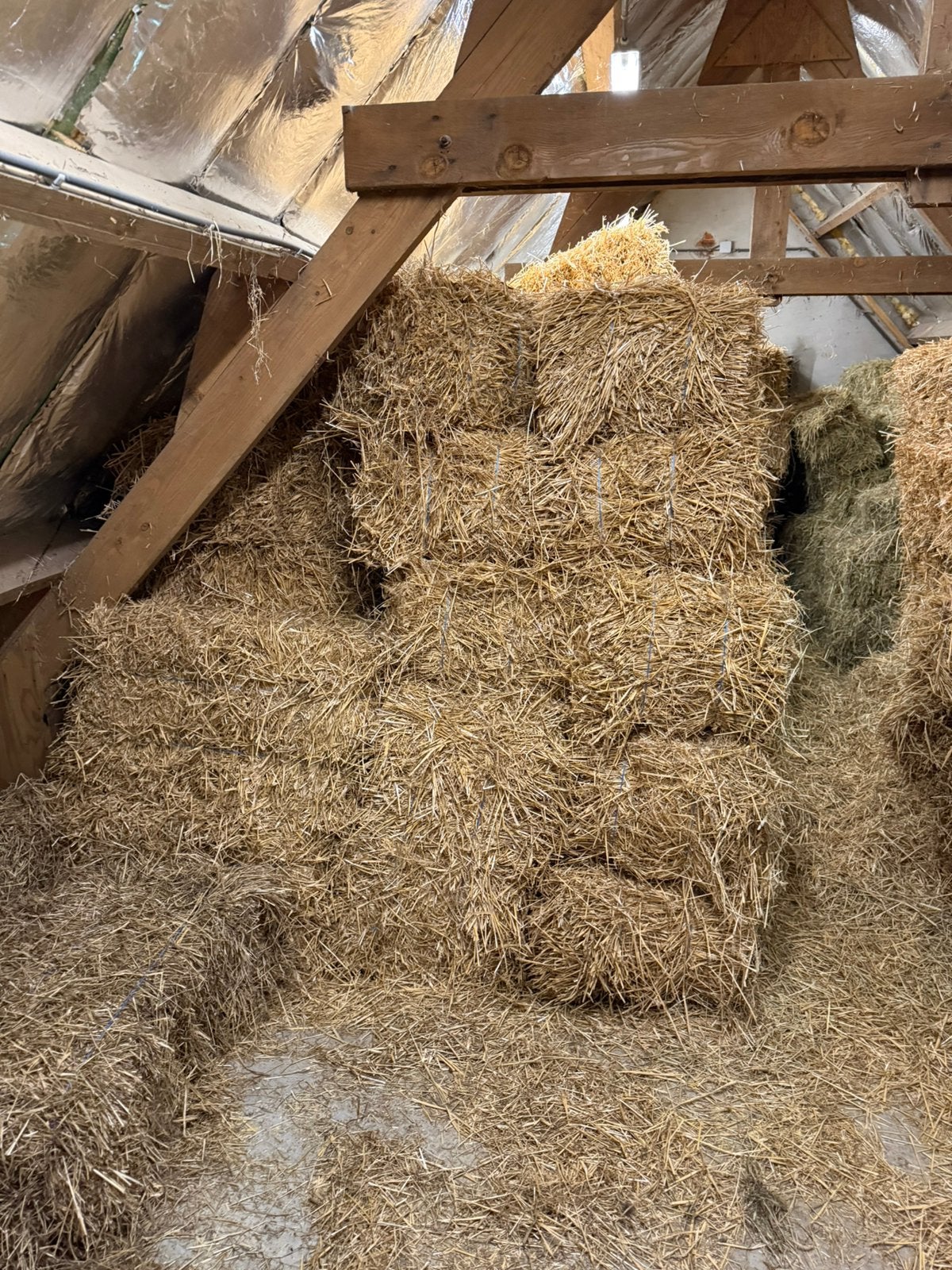 Te koop: stro in kleine rechthoekige balen, Ophalen