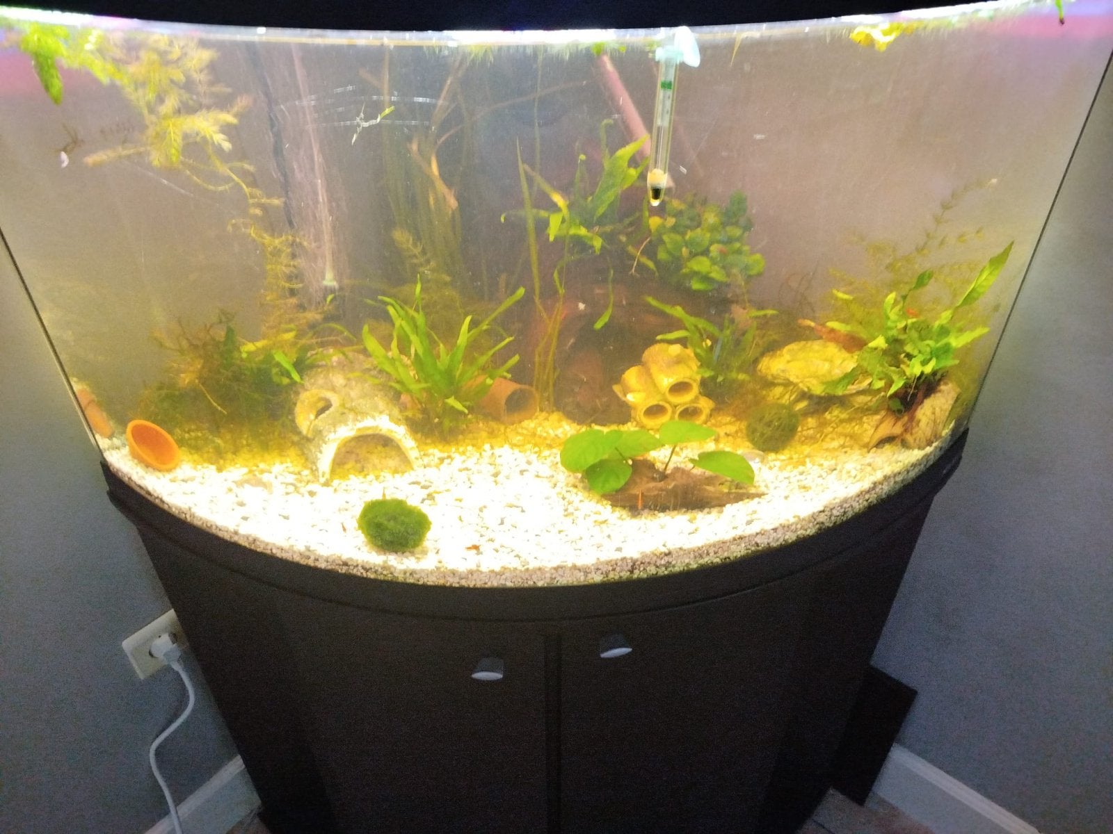 hoek aquarium te koop, Enlèvement, Comme neuf