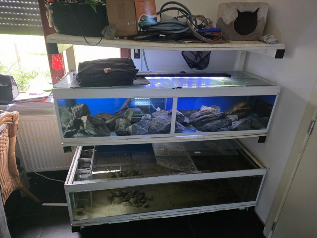 Stelling voor opmaak, Dieren en Toebehoren, Ophalen, Gebruikt
