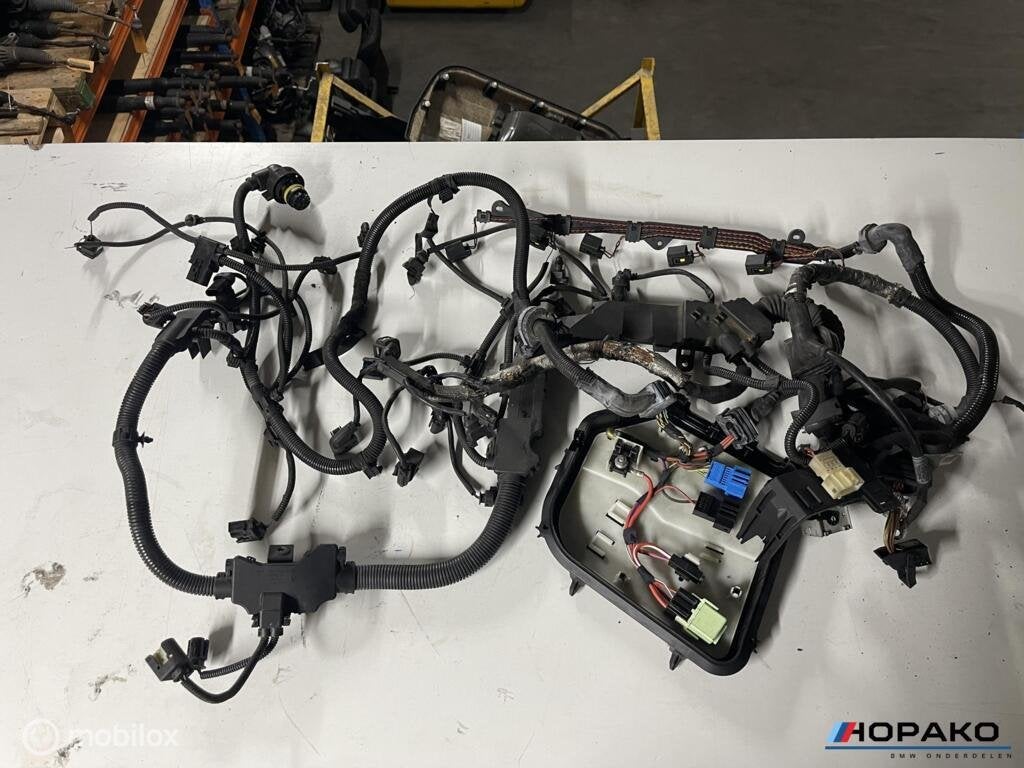 Motorkabelboom BMW 535D N57D30B F10 F11 etc - 759045906, Auto-onderdelen, Elektronica en Kabels, Gebruikt, Ophalen of Verzenden
