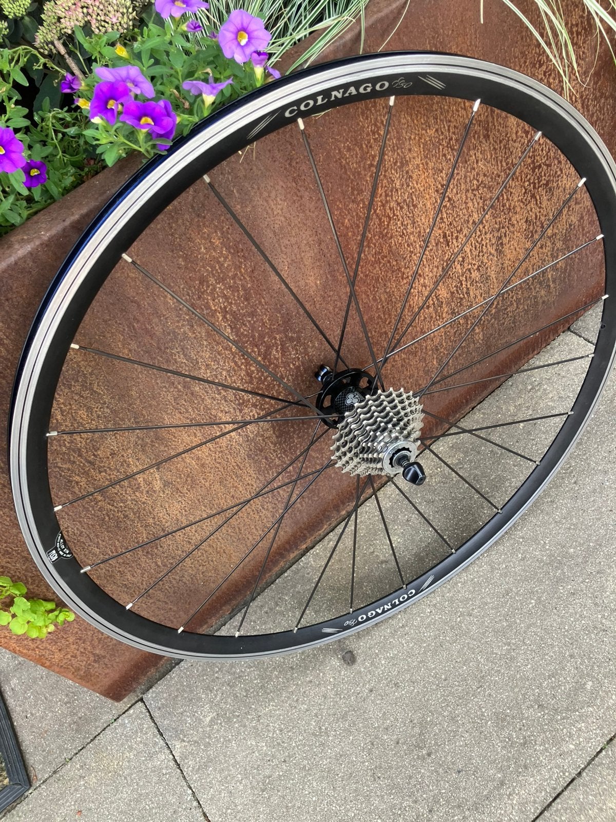 Colnago 50th Anniversary Wielen (2004), Enlèvement ou Envoi, Comme neuf