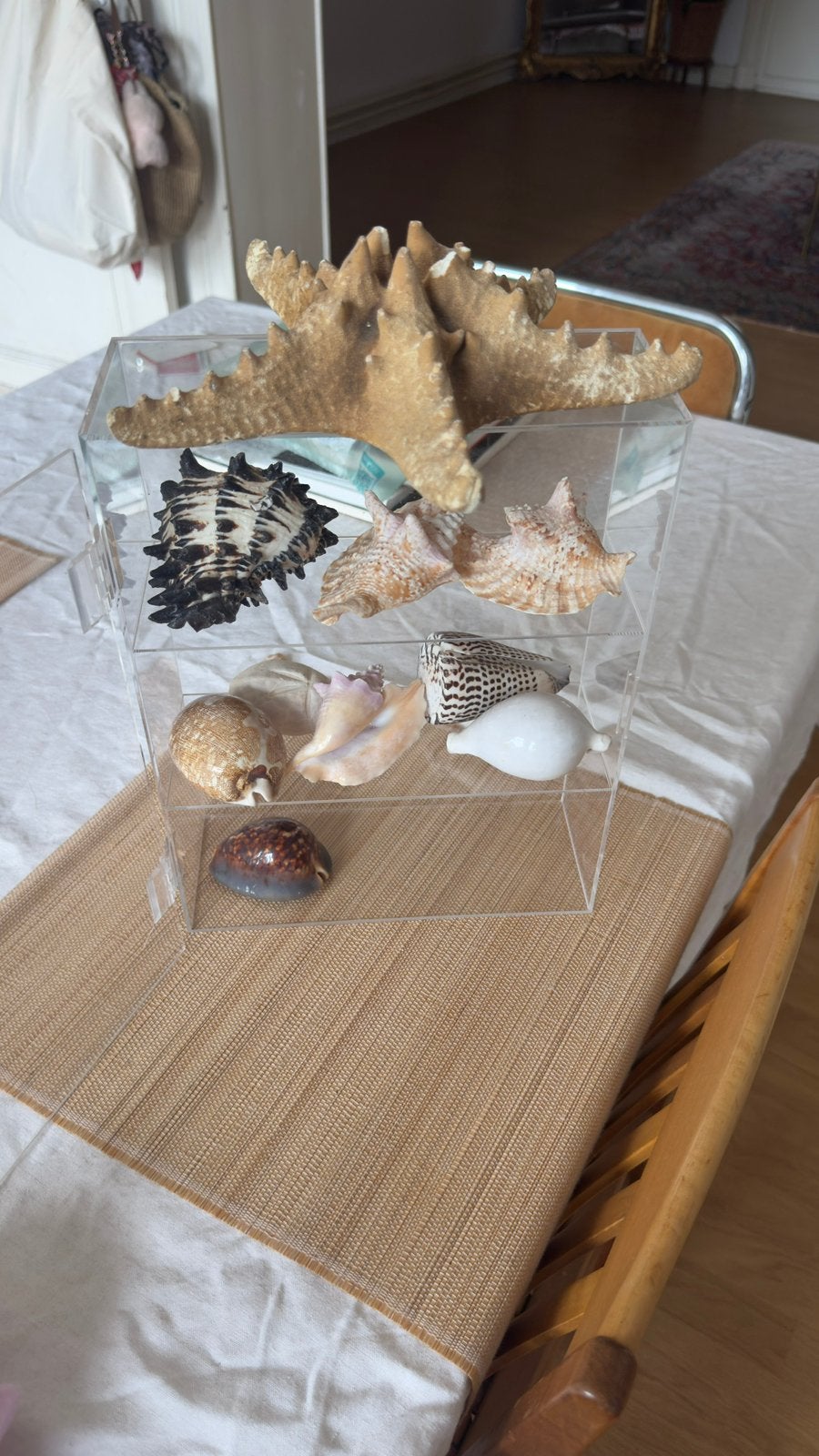 Lot de coquillage et differents sables, Enlèvement ou Envoi