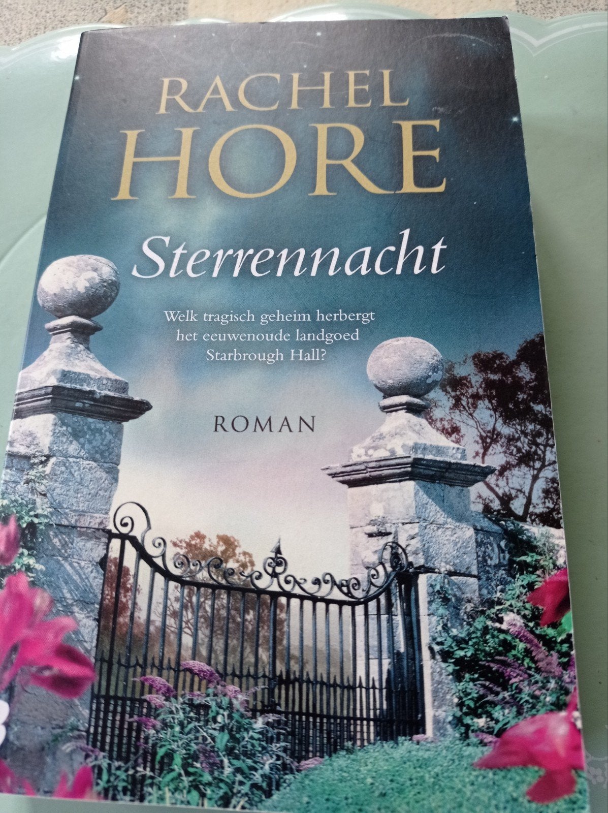 Rachel Hore - Sterrennacht, Enlèvement, Rachel Hore