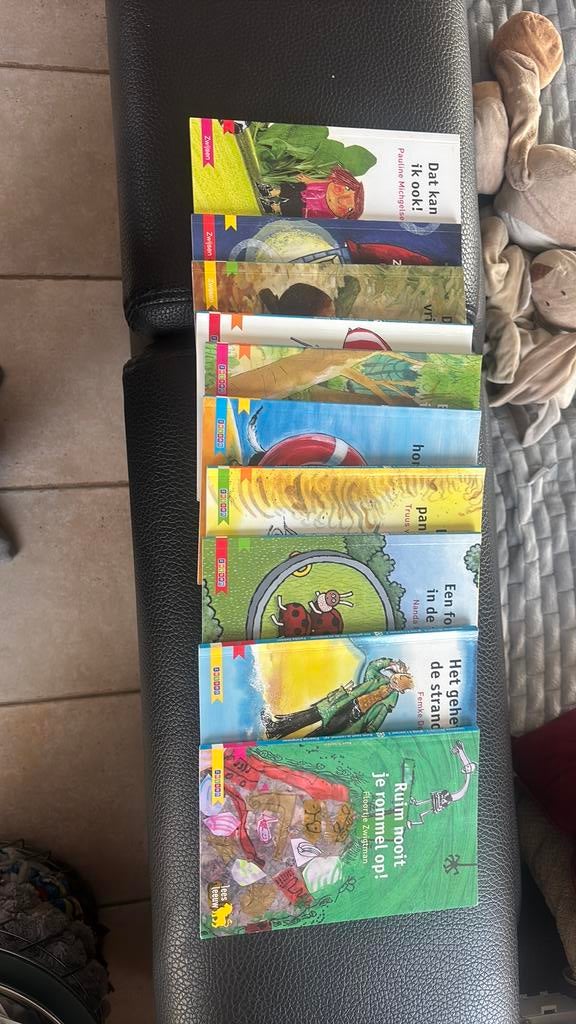 Leesleeuw 2 de leerjaar groep4 volledige reeks, Boeken, Ophalen of Verzenden, Zo goed als nieuw