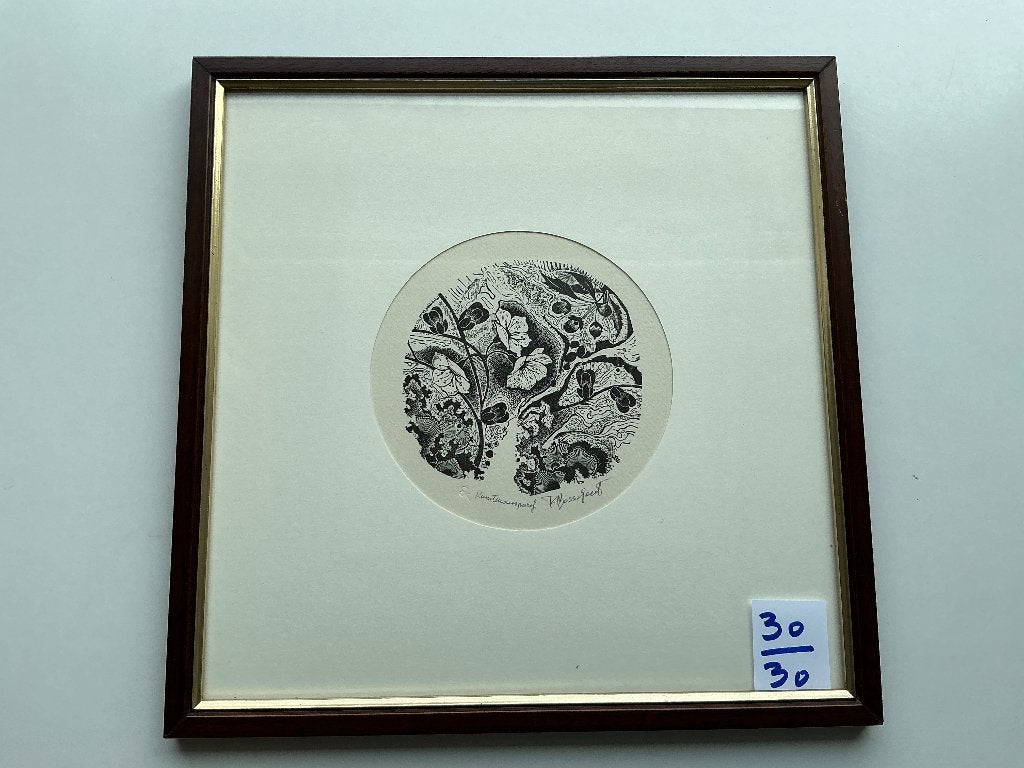 mooie litho van Renaat Bosschaert van 30 cm op 30 cm, Ophalen of Verzenden