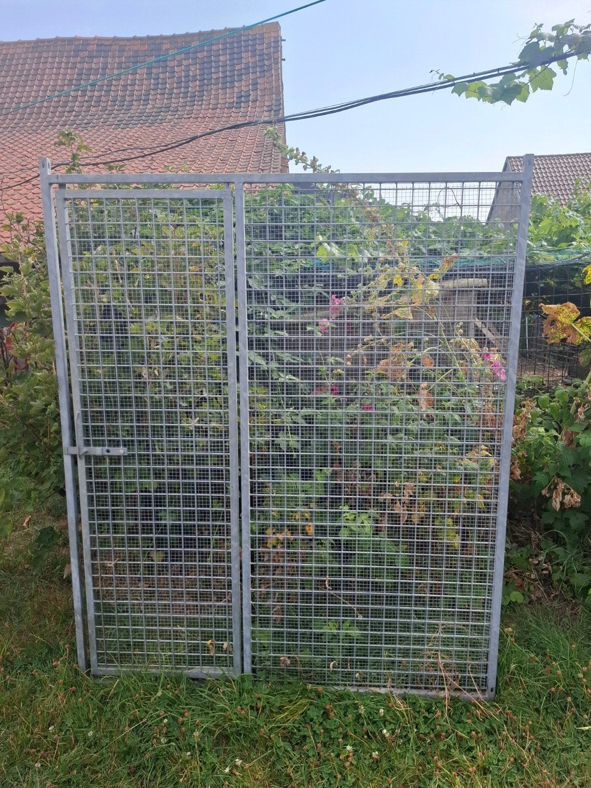 grille porte chenille cage chien, Enlèvement