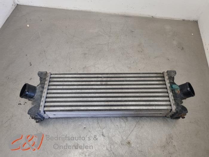 Set refroidisseur d'un Ford Transit, -, 3 mois de garantie, -, -