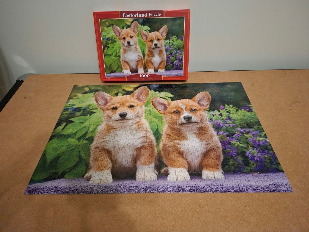 Castorland: Puzzel "Welsh Corgi Puppies" (1000 stukken), Ophalen of Verzenden, 500 t/m 1500 stukjes, Zo goed als nieuw, Legpuzzel