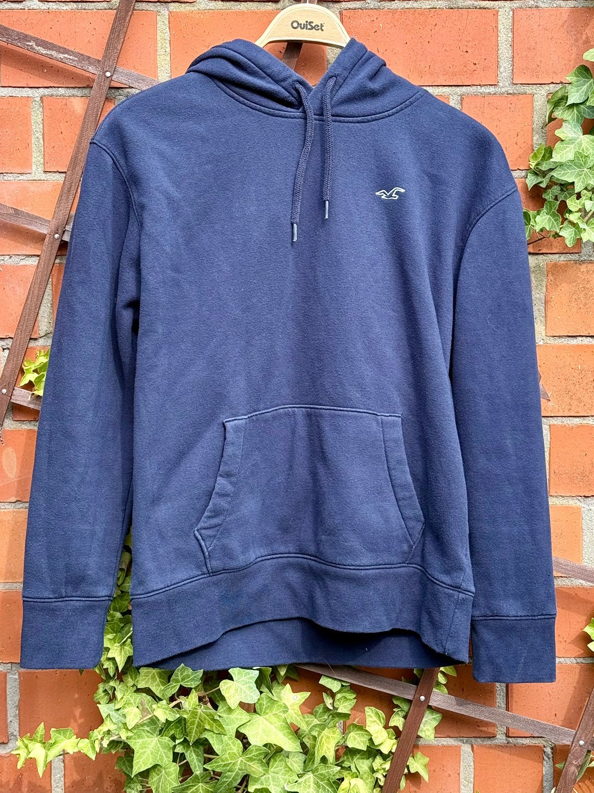 Hollister hoodie / sweater, Ophalen of Verzenden, Zo goed als nieuw, Maat 46 (S) of kleiner, Blauw