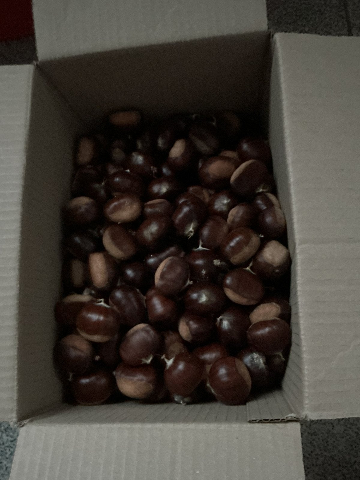 Kastanjes, Ophalen