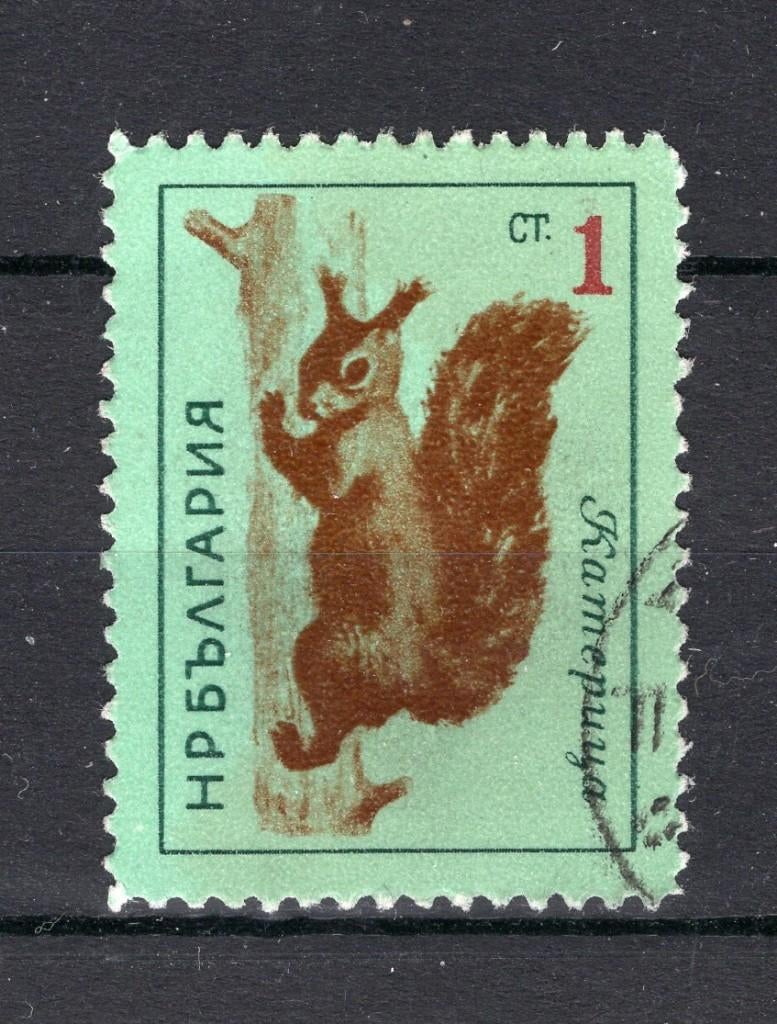 BULGARIE Yt. 1176 estampillée 1963, Enlèvement ou Envoi, Bulgarie, Affranchi