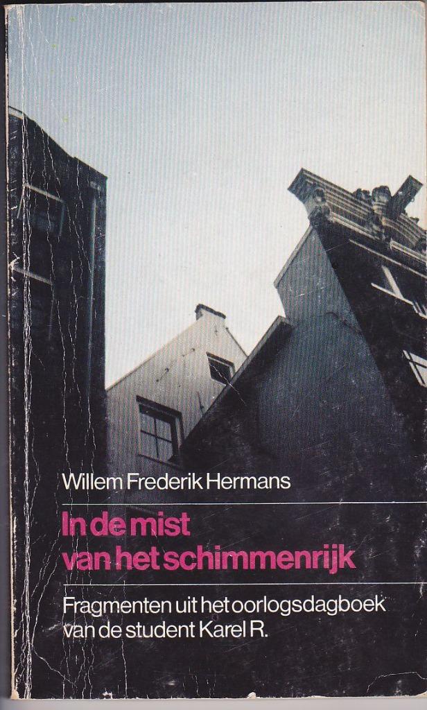 In de mist van het schimmenrijk - Willem Frederik Hermans, Ophalen of Verzenden, Gelezen