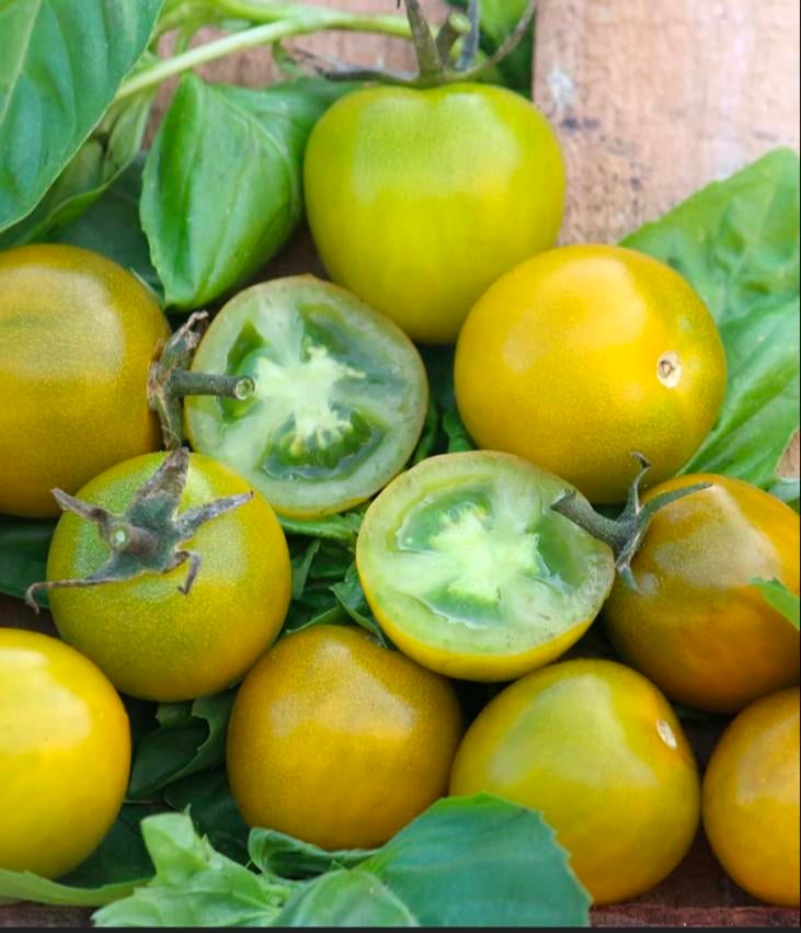 Tomate, raisins verts (5 graines), Jardin & Terrasse, Enlèvement ou Envoi