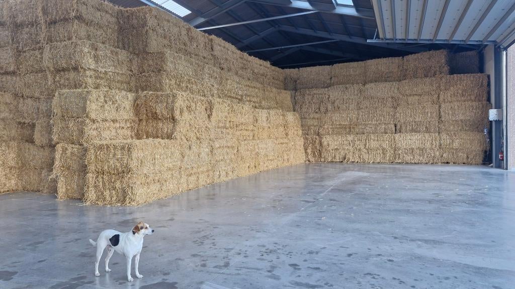Stro in grote balen, Zakelijke goederen, Ophalen