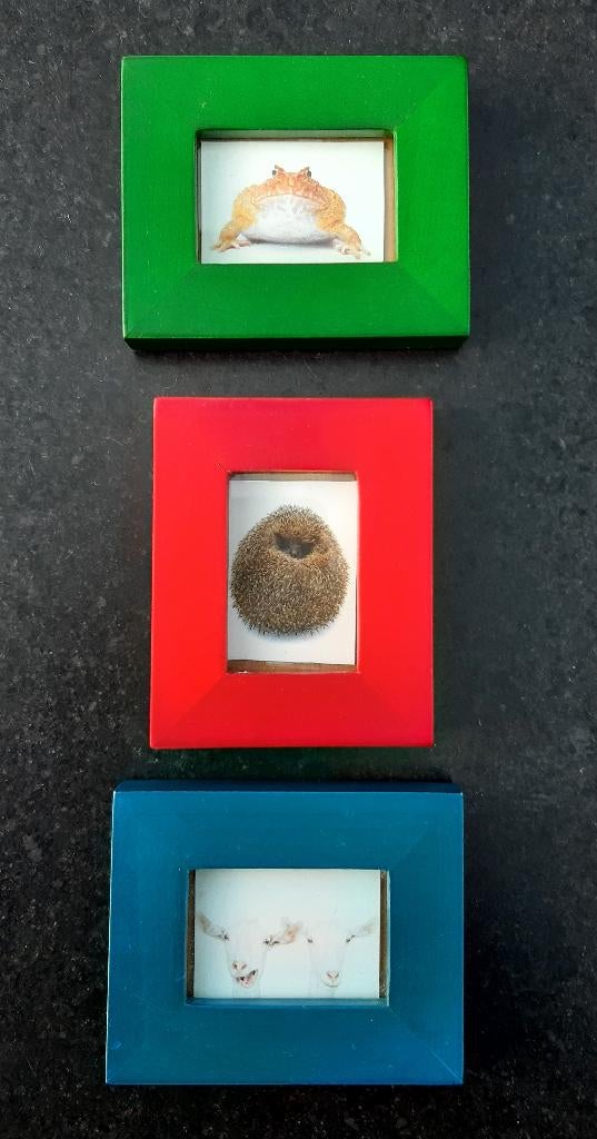 Kleine fotolijstjes (groen, rood, blauw), Ophalen of Verzenden