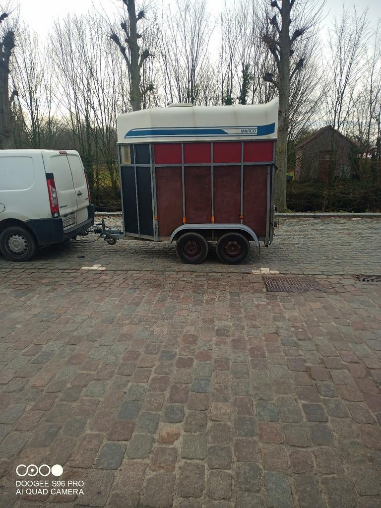 1,5 paardstrailer van het merk Marco met b rijbewijs, Dieren en Toebehoren, Ophalen