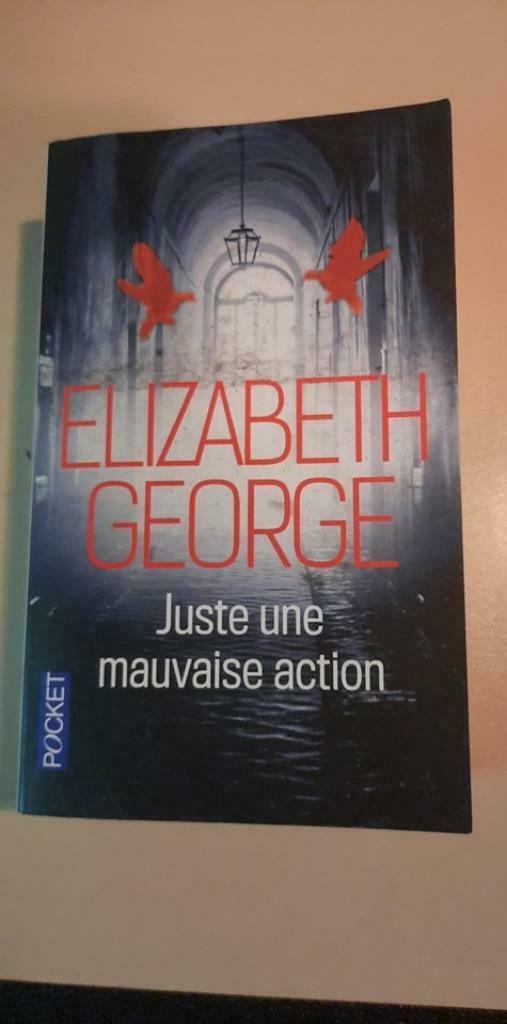 Elizabeth George -Juste une mauvaise action, Enlèvement ou Envoi, Utilisé