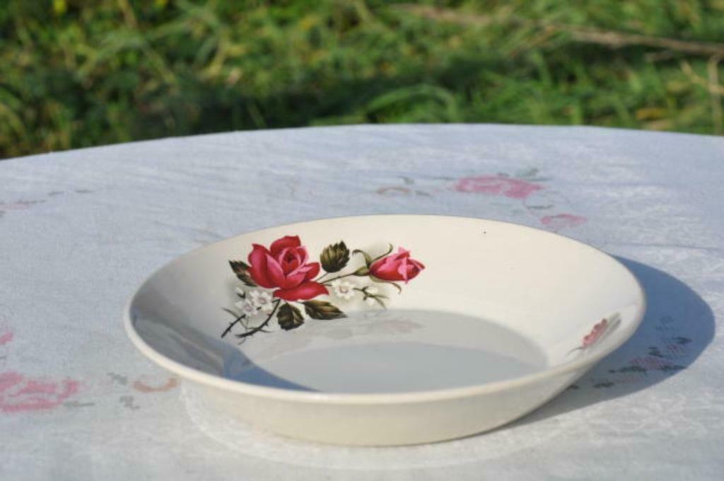 §  plat creux boch freres decor vedette, Enlèvement ou Envoi