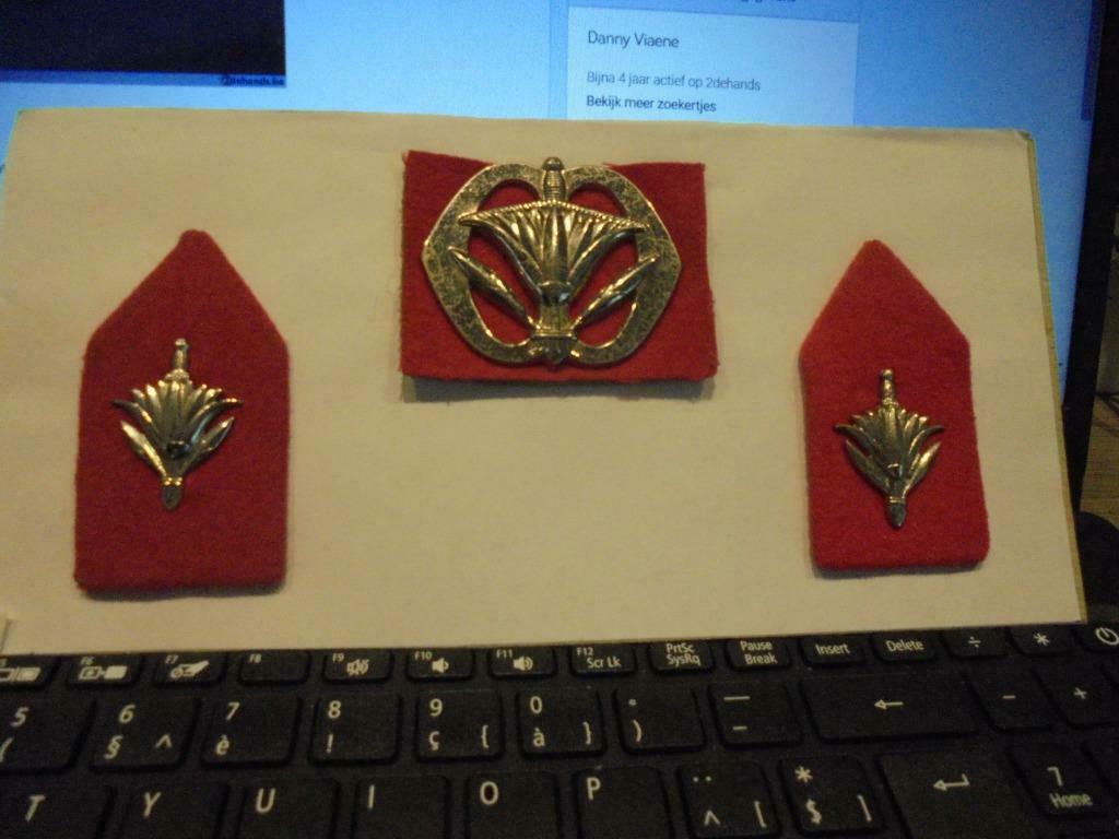 Nederlands leger kentekens, Ophalen of Verzenden, Landmacht, Embleem of Badge