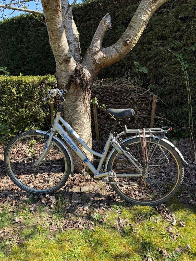 Damesfiets Norta, Enlèvement, Utilisé