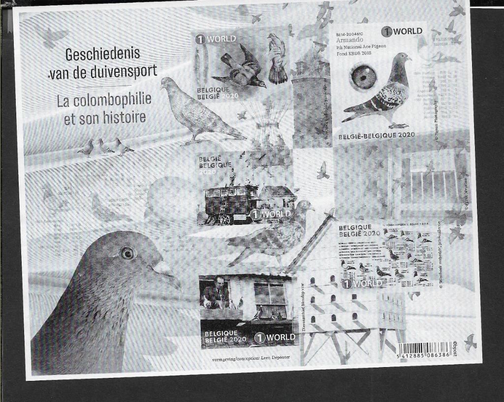 belgie Zwart--Wit-- G C A  nr 41, Enlèvement ou Envoi