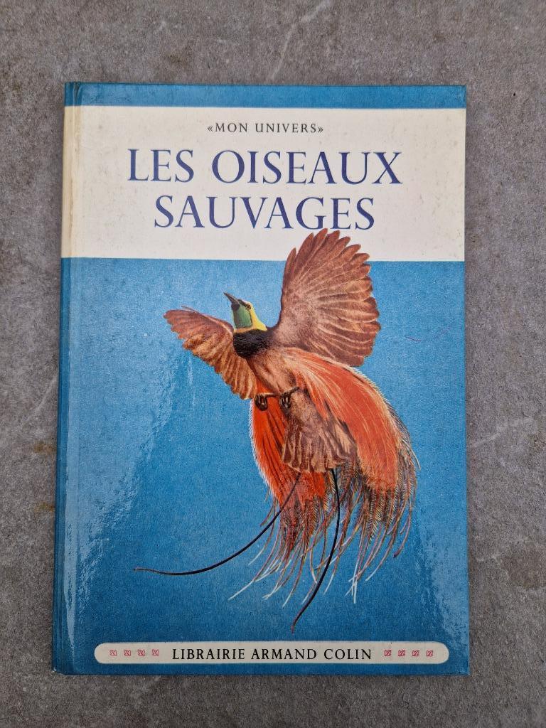 Les Oiseaux Sauvages - Mon Univers - 1955, Enlèvement ou Envoi