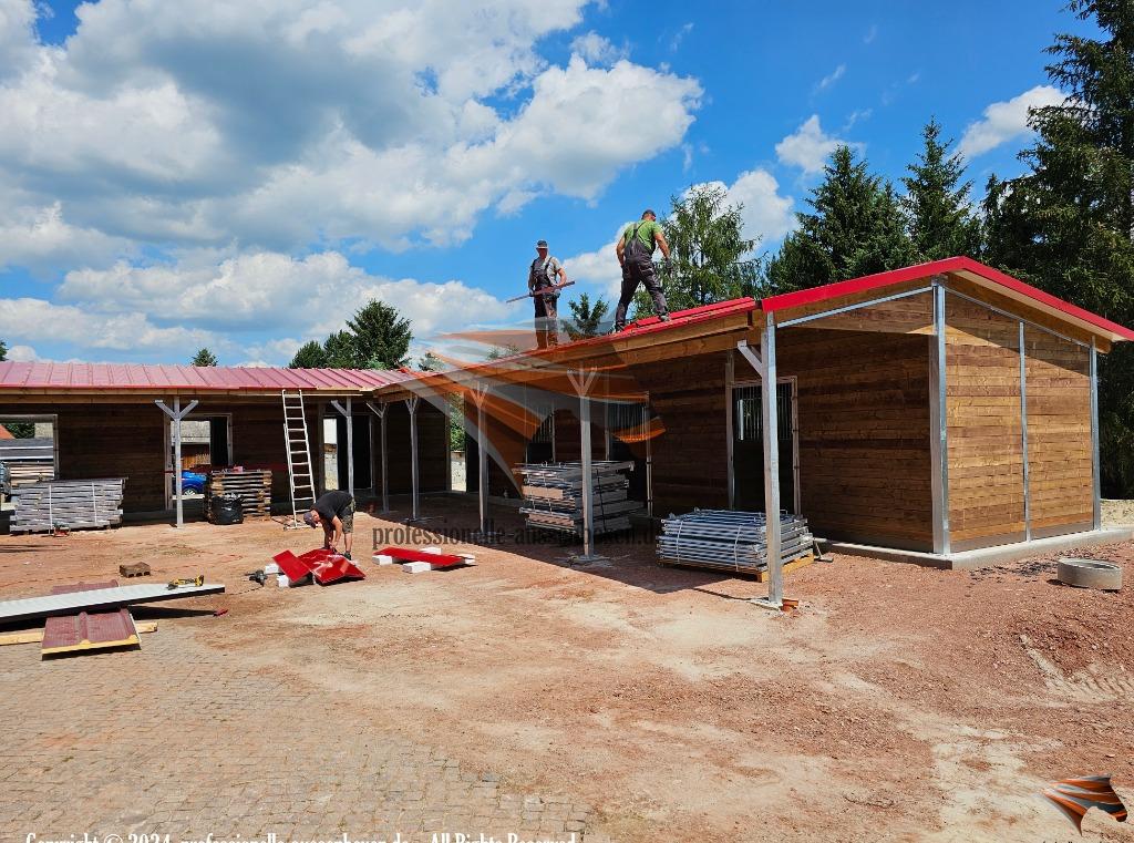 Buitenstal paard & Paardenstal kopen - Paddockbox, Weidegang
