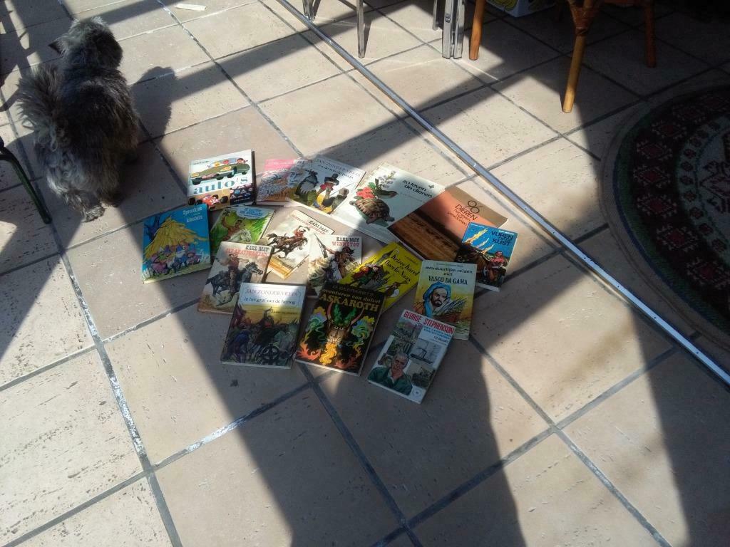 Een 12 tal jeugdboeken, Boeken, Kinderboeken | Jeugd | 10 tot 12 jaar, Gelezen, Fictie, Ophalen