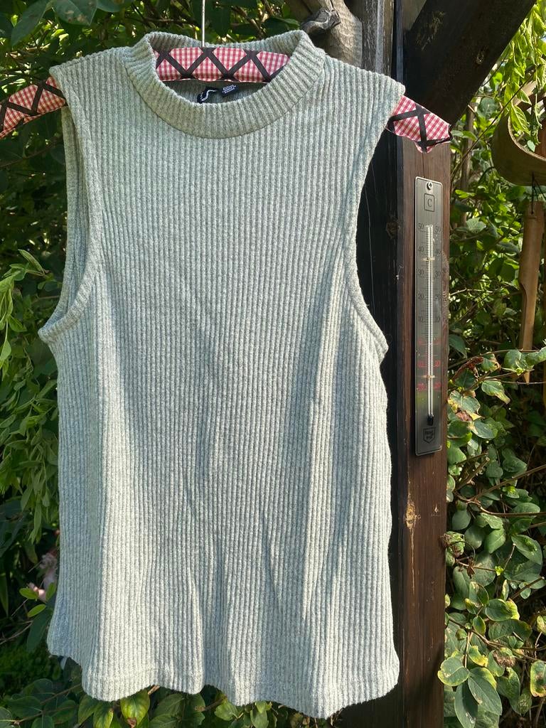 2 topjes, 2 M/L Daphnea Paris en 1Vero Moda XL, Kleding | Dames, Ophalen of Verzenden, Zo goed als nieuw, Groen